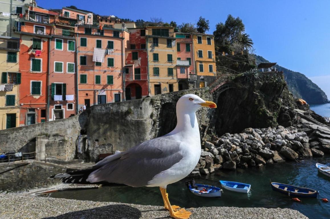 Terra Prime Suite Riomaggiore Kültér fotó